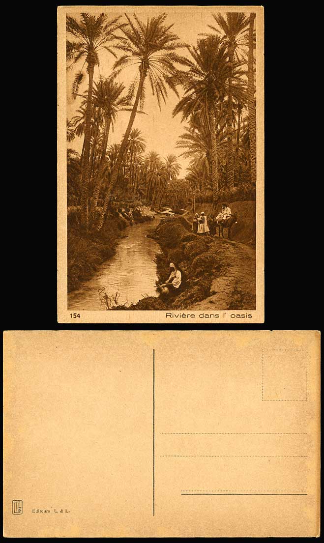 Africa Riviere dans l'Oasis Old Postcard Woman Drawing Water, Donkey Rider Palms