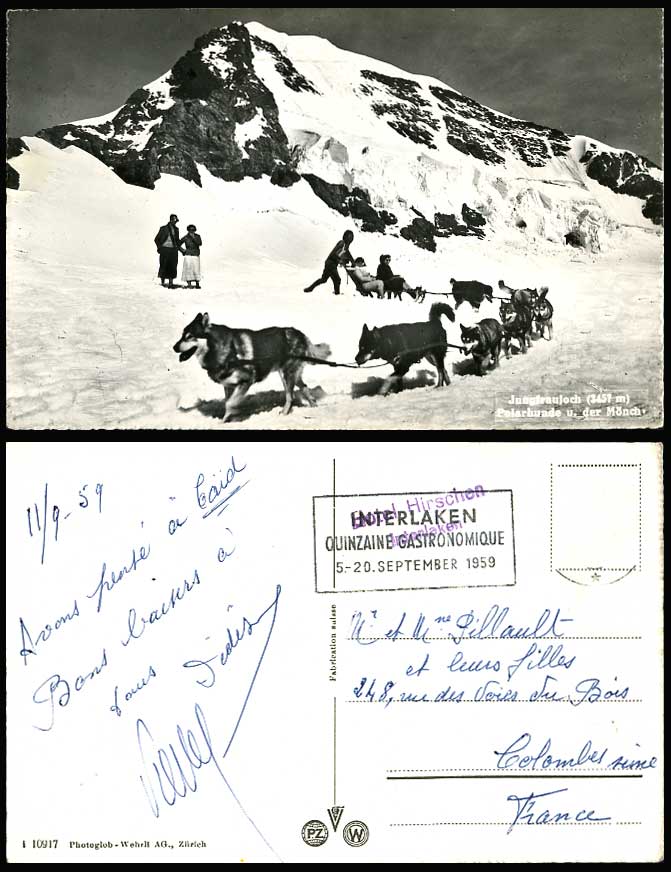 Husky Dogs Huskies Jungfraujoch Polarhunde Moench Glacier 1959 Old R.P. Postcard