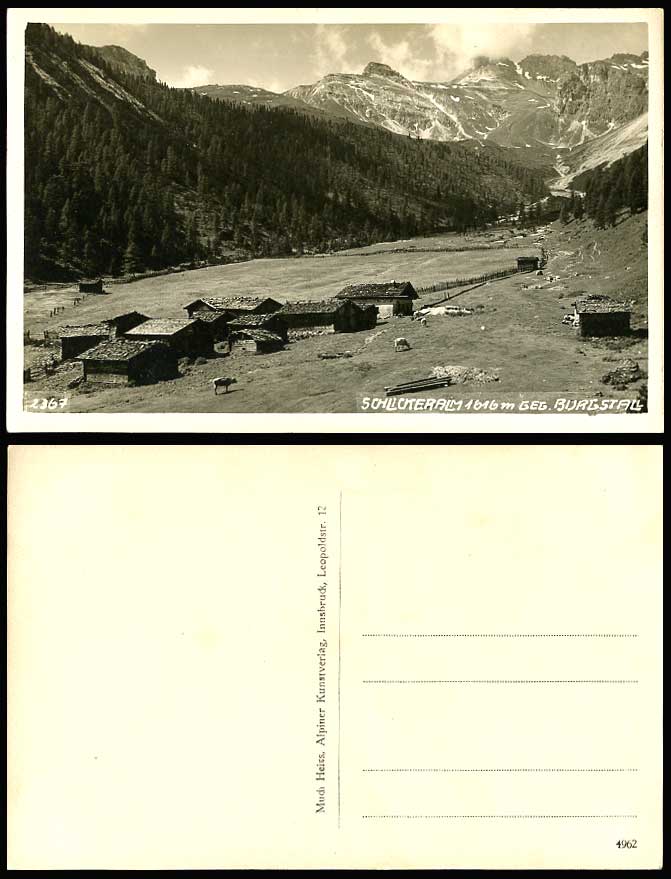 Italy Schlickeralm 1616m geg Burgstall South Tyrol Cattle Mountains Old Postcard