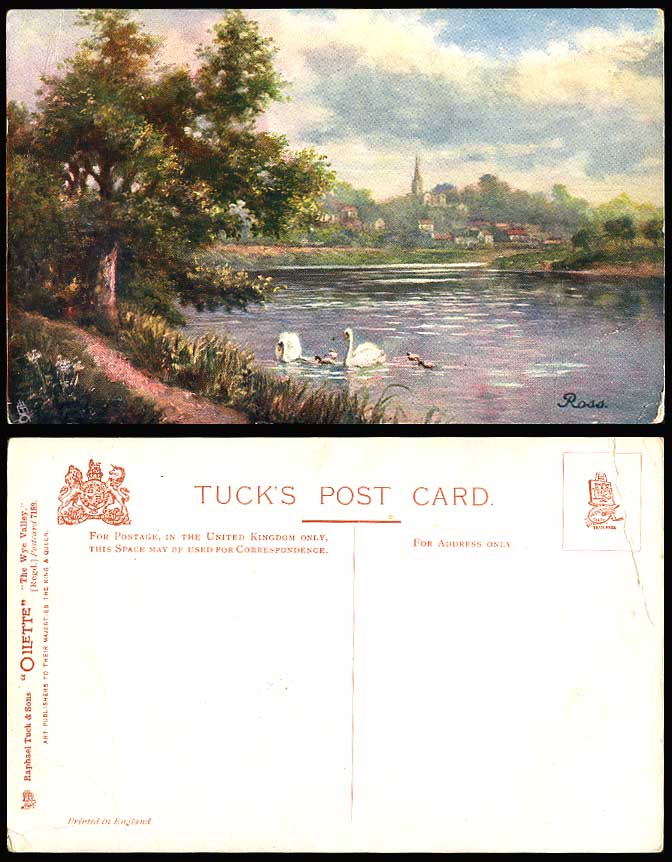 Ross-on-Wye WYE VALLEY Ross Swans Birds Old Tuck's Oilette Postcard Artist Drawn
