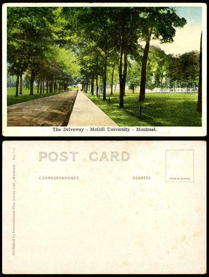 Canada Old Postcard The Driveway - McGill University - Montreal, Tree-lined Road