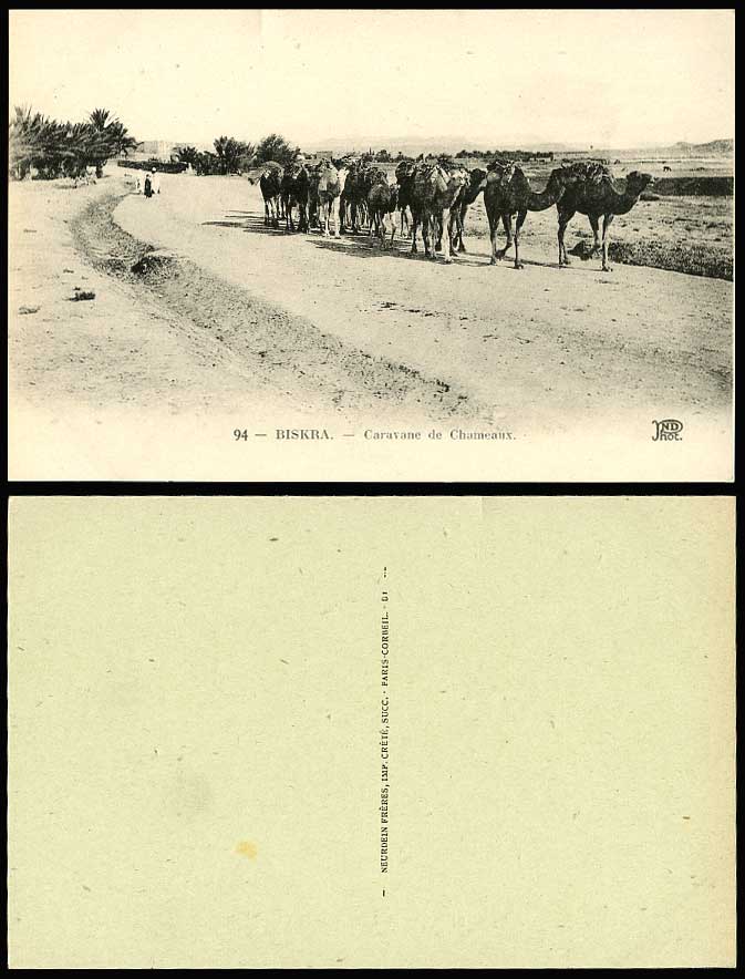 Algeria Old Postcard BISKRA Camels Camel Caravan - Caravane de Chameaux, Animals