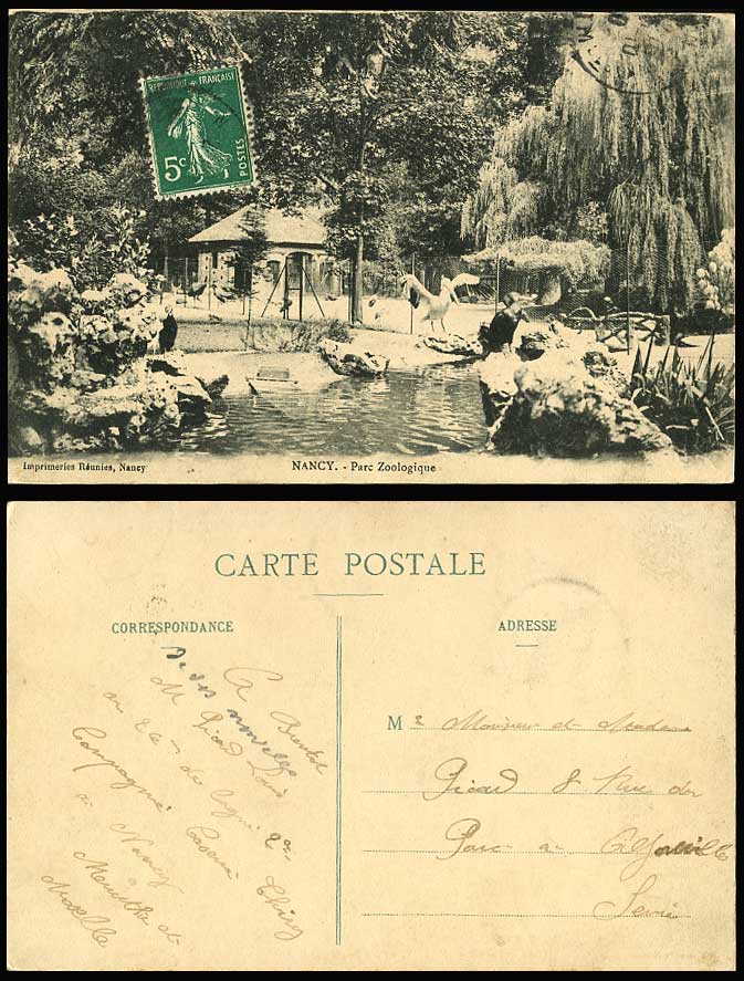 Pelican Bird Nancy Pond Zoo Zoological Gardens Parc Zoologique 1910 Old Postcard