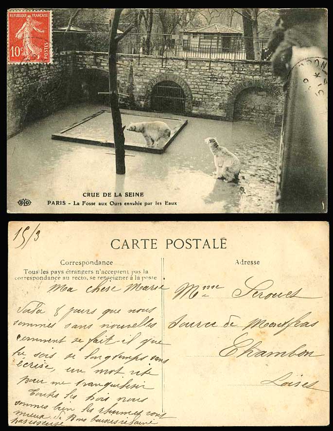 PARIS FLOOD 1910 Old Postcard POLAR BEARS La Fosse aux Ours envahie par les Eaux