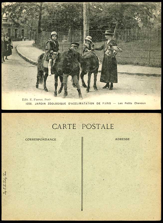 Ponies Horses, Petit Chevaux, Zoo Old Postcard Paris, Zoologique d'Acclimatation