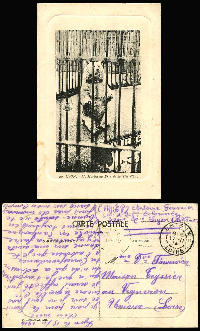 Bear M. Martin au Parc de la Tete d'Or Lyon Zoo Animals 1914 Old Postcard France