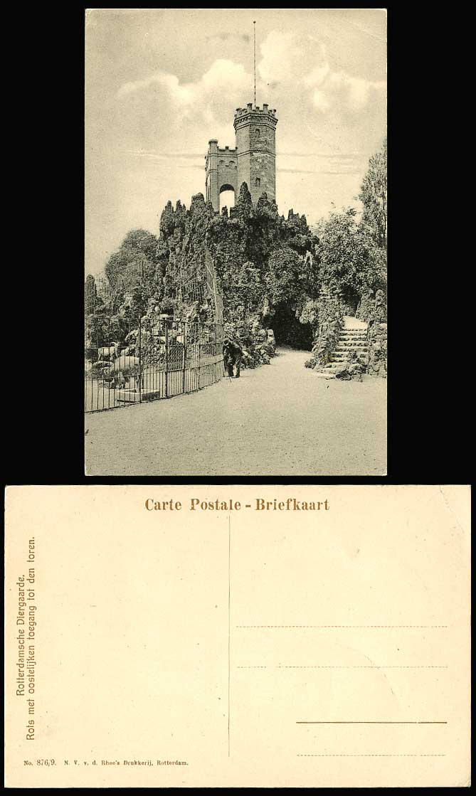 Netherlands ROTTERDAM ZOO, Zoological Gardens Goats Animals Old Postcard Holland