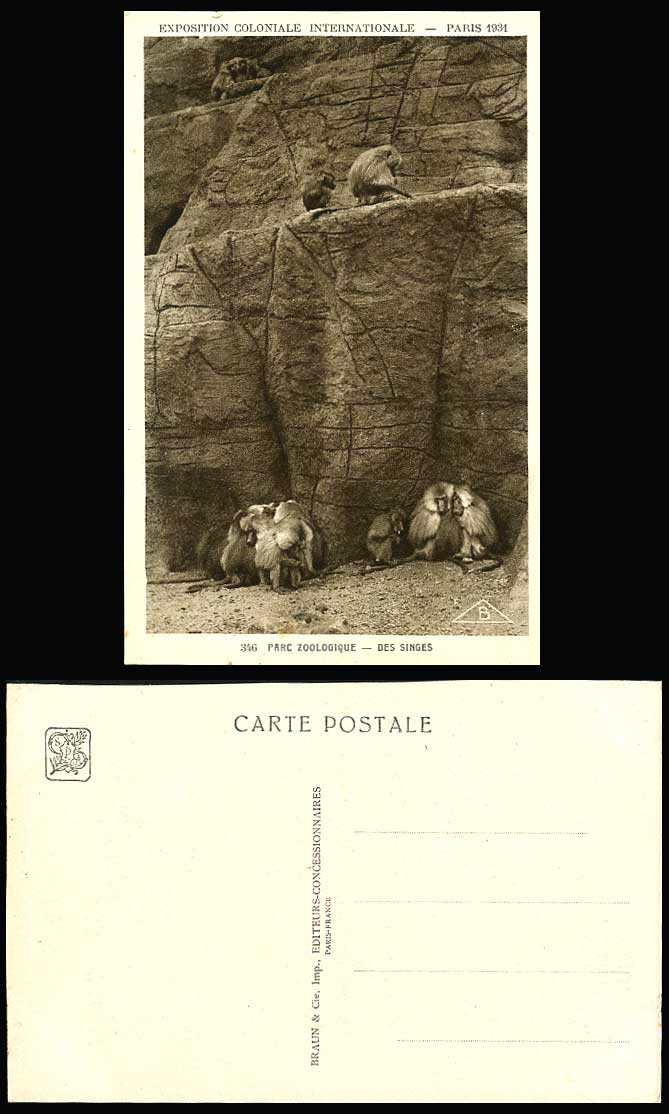 MONKEYS Ape Rocks ZOO Paris Exposition Coloniale International 1931 Old Postcard