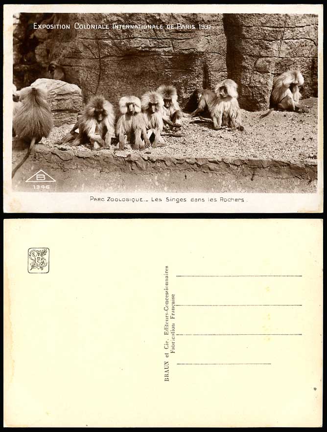 Monkeys Singes dans les Rochers Exposition Coloniale Int Paris 1931 Old Postcard