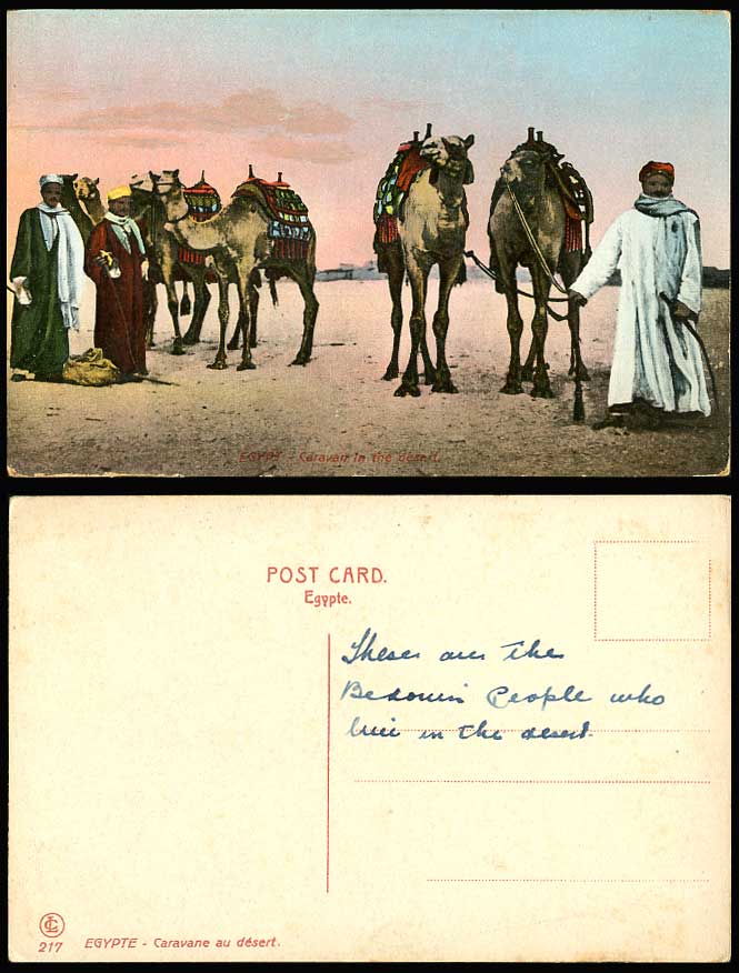 Egypt Old Colour Postcard Camel Caravan in Desert, Camels Native Arab Men Sunset