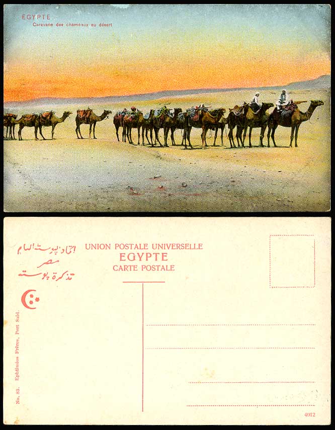 Egypt Old Postcard Camels, Camel Caravan, Caravane des Chameaux au desert Sunset