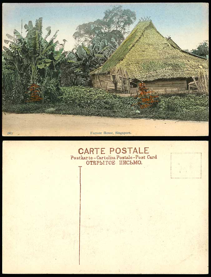 Singapore FARMER HOUSE Old Hand Tinted Colour Postcard Native Malay Hut Roadside