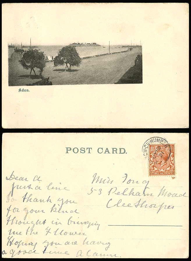 ADEN Loaded Camels Promenade Street Scene Yemen 1921 Old Postcard GB KGV 1 1/2d.