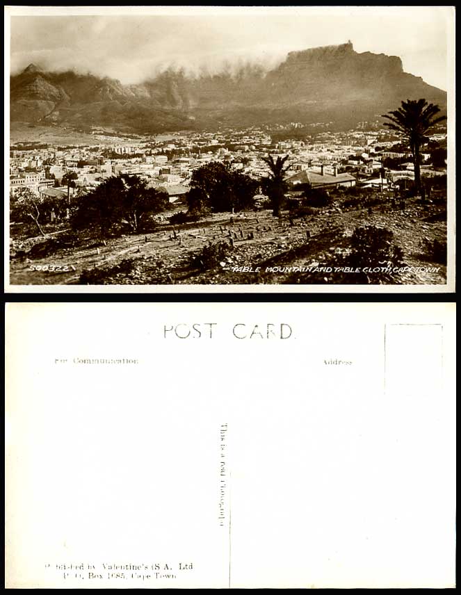 South Africa Cape Town TABLE MOUNTAIN & TABLE CLOTH Palm Trees Old R.P. Postcard