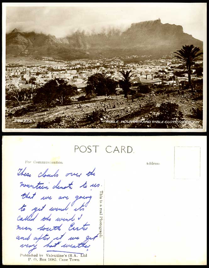 South Africa Cape Town TABLE MOUNTAIN, TABLE CLOTH Palms Old Real Photo Postcard