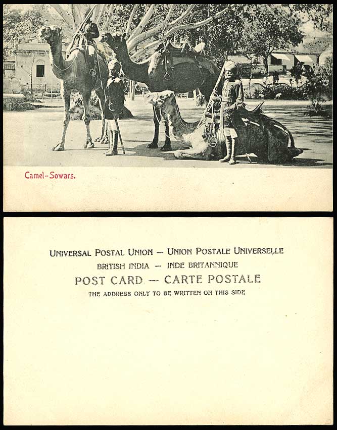 India Old U.B. Postcard CAMEL SOWARS, Camels POLICE OFFICERS Native Camel Riders