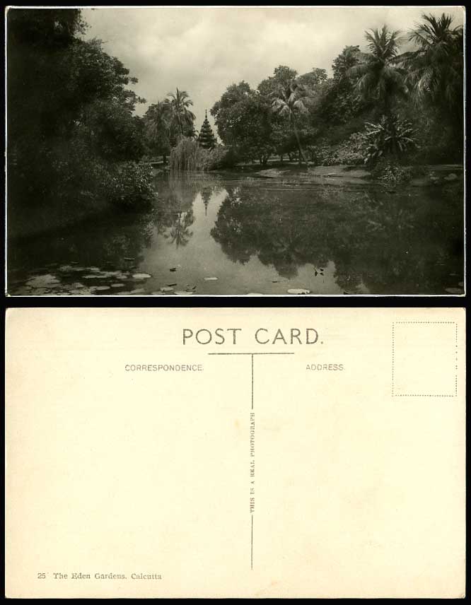 India Old Real Photo Postcard Eden Gardens Calcutta Pagoda Palm Trees Waterlily