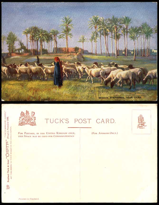 Sheep Animals Egypt Old Tuck's Oilette Postcard Bedouin Shepherds nr Cairo Palms