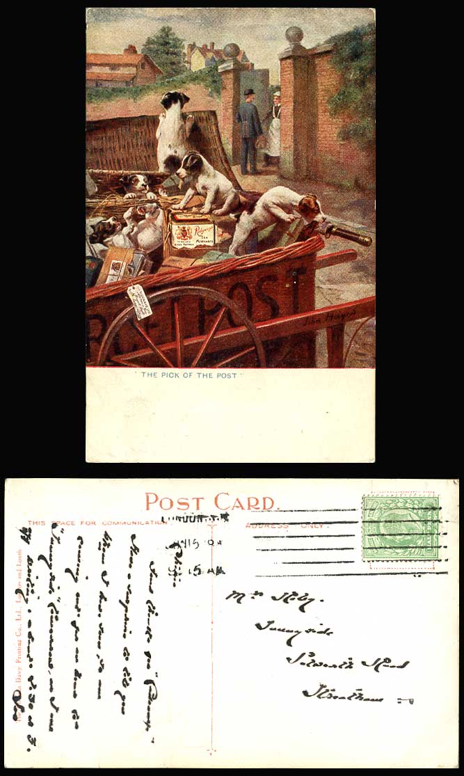 Dogs Puppis in Postman's Cart The Pick of The Post, John Hayes 1905 Old Postcard