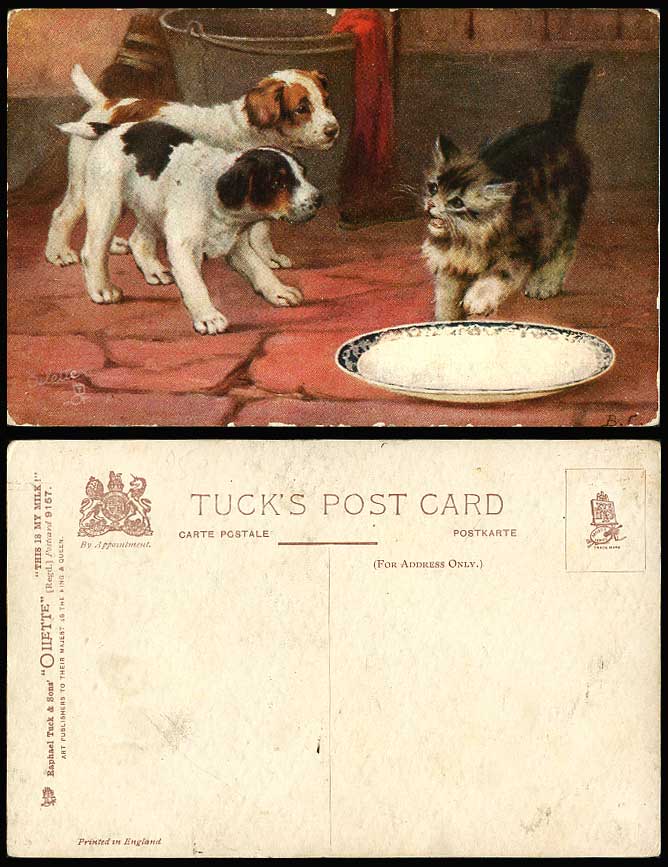 2 Dogs Puppies Cat Kitten Tuck's Oilette This is My Milk 9157 Old Postcard Plate