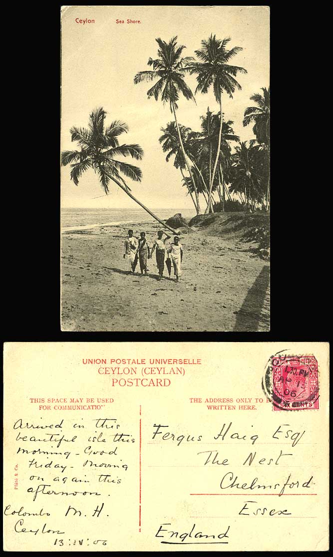 Ceylon KGV 6c stamp 1906 Old PostcardSea Shore Seashore Colombo Beach Palm Trees