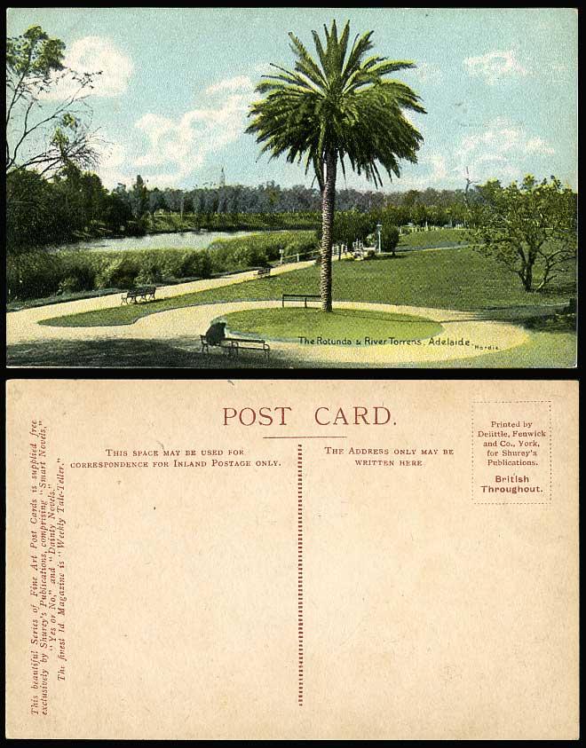 Australia Adelaide Old Colour Postcard The Rotunda River Scene Torrens Palm Tree