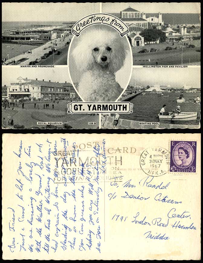 POODLE DOG Puppy Gt Yarmouth Wellington Pier Pavilion Aquarium Pool Old Postcard
