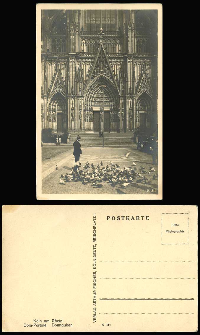 German Cologne Pigeons Birds Cathedral Church Dom Portale Domtauben Old Postcard