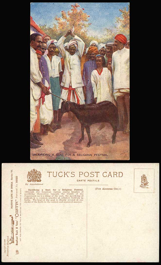 India Old Tuck's Oilette Postcard Native Sacrificing Goat for Religious Festival