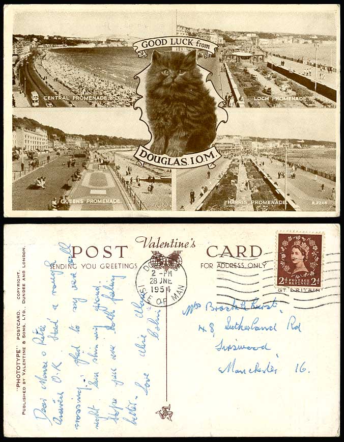 Isle of Man 1954 Postcard Black Cat Kitten, Loch Queens Harris Central Promenade