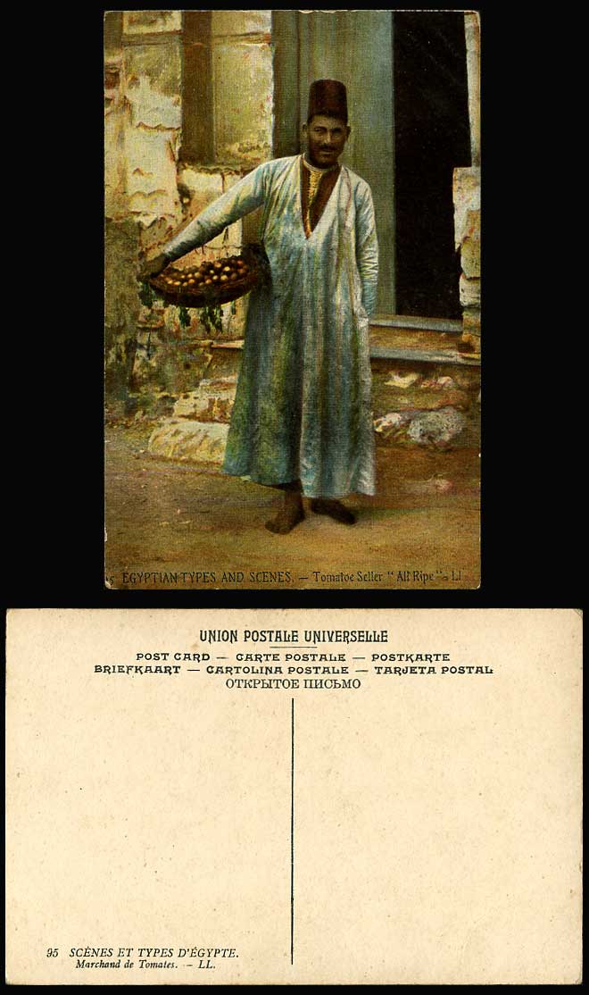 Egypt Old Colour Postcard Native Tomatoes Seller All Ripe Marchand Tomates LL 95