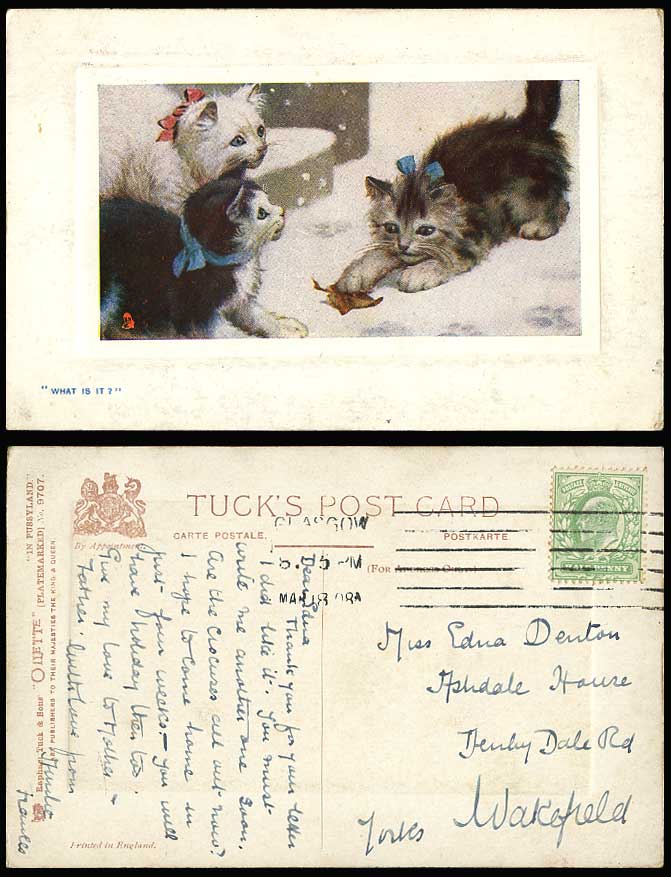 Cats Kittens Leaf What is It? 1908 Old Postcard Tuck's Oilette In Pussyland Pets