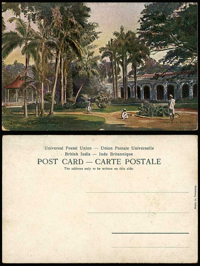 India Old Art Artist Drawn Postcard Calcutta Zoo, Zoological Gardens, Bandstand
