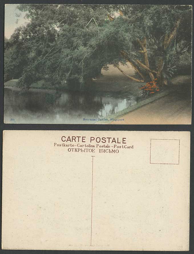 Singapore Old Hand Tinted Postcard BOTANICAL GARDEN Botanic Gardens Lake & Trees
