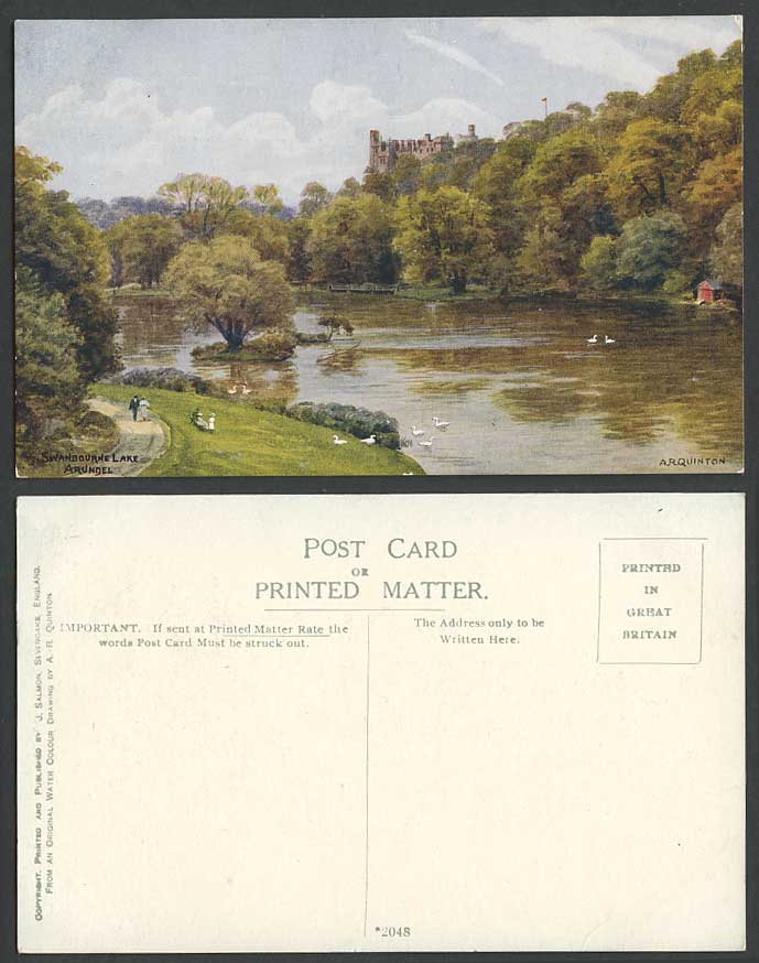 A.R. Quinton Old Postcard Swanbourne Lake, Swans Birds, Arundel Park Sussex 2043
