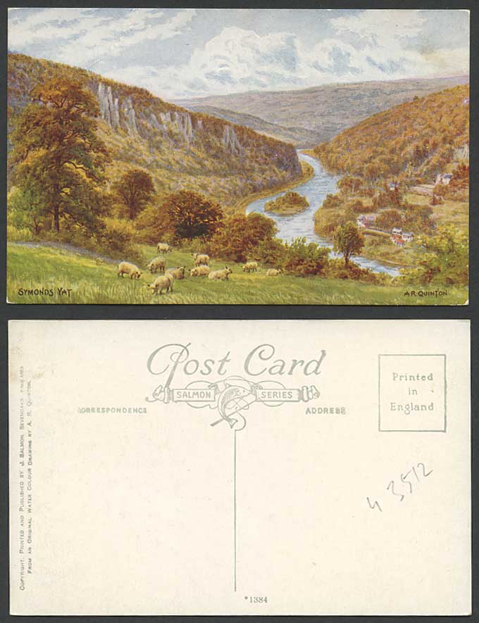 AR QUINTON Old Postcard Symonds Yat Sheep River Scene Valley Hills Panorama 1384
