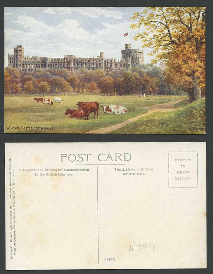 A.R. Quinton Old Postcard WINDSOR CASTLE North Front, Cow Cattle Resting Grazing