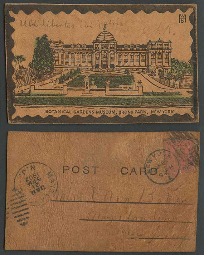 Real Leather Made 1907 Old Postcard Botanical Gardens Museum Bronx Park New York