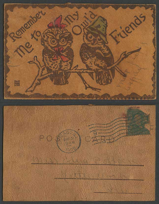 Novelty Made from Leather 1908 Old Postcard OWL BIRDS, Remember Me Owl'd Friends