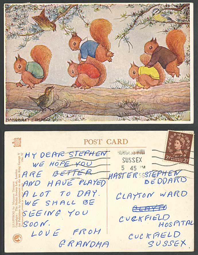 Margaret Tempest 1956 Old Postcard LEAPFROG SQUIRRELS Squirrel Sparrow Birds 97.