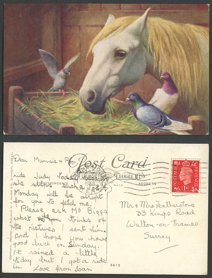 Horse Pony Pigeon Bird Pigeons Birds Stable Artist Signed 1938 Old Postcard 3612