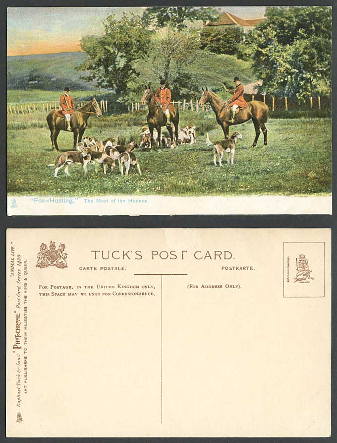 Fox Hunting, Dogs Hunters, The Meet of Hounds, Horses Riders Old Tuck's Postcard