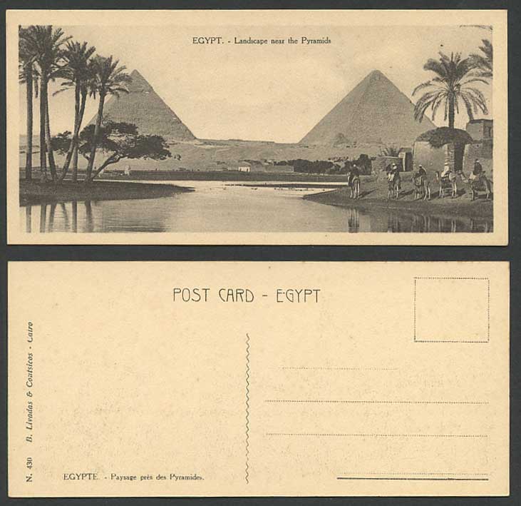Egypt Old Postcard Cairo Landscape near Pyramids Camels Nile River Palm Bookmark