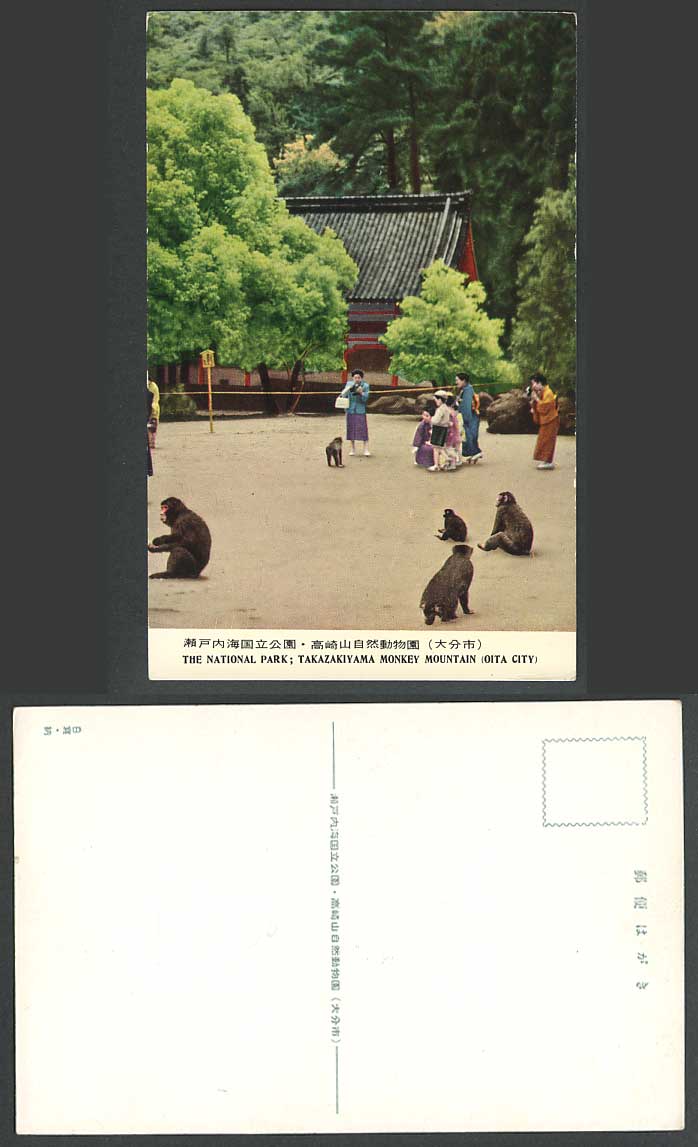 Japan Old Postcard The National Park Zoo, Takazakiyama Monkey Mountain Oita City