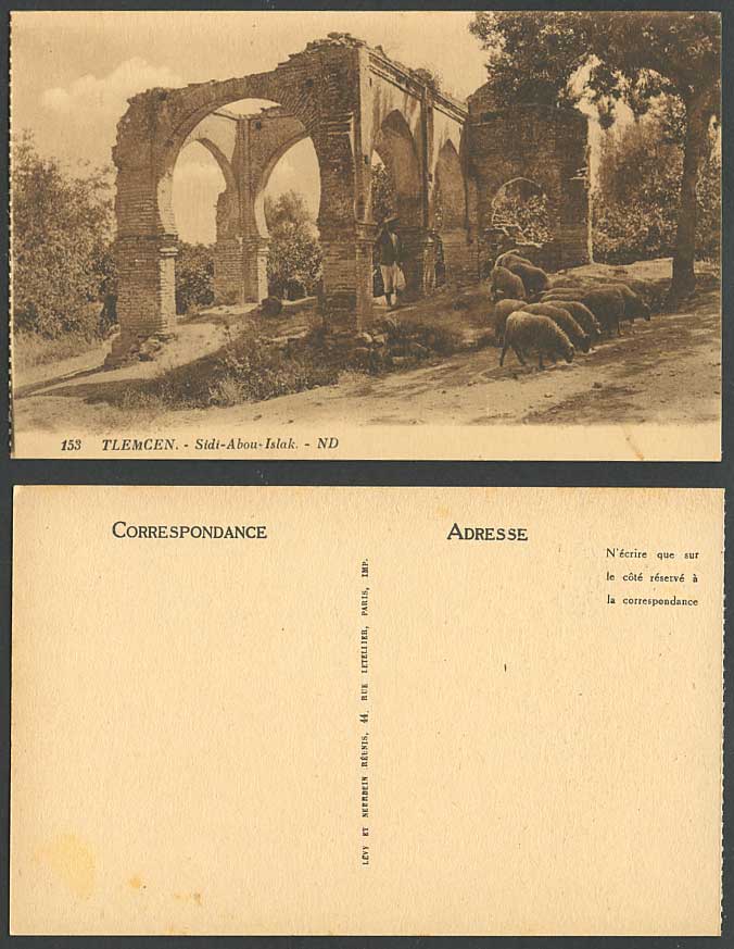 Algeria Old Postcard TLEMCEN Sidi-Abou-Islak Arches Ruins Sheep Grazing ND 153