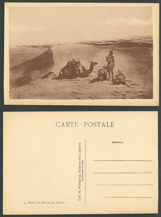 Algeria Old Postcard Dans les Dunes du Desert, Natives Camel Resting, Sand Dunes