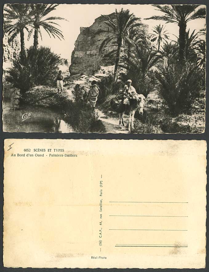 N. Africa Old Postcard Au Bord d'un Oued Palmiers Dattiers Date Palm Trees Dates