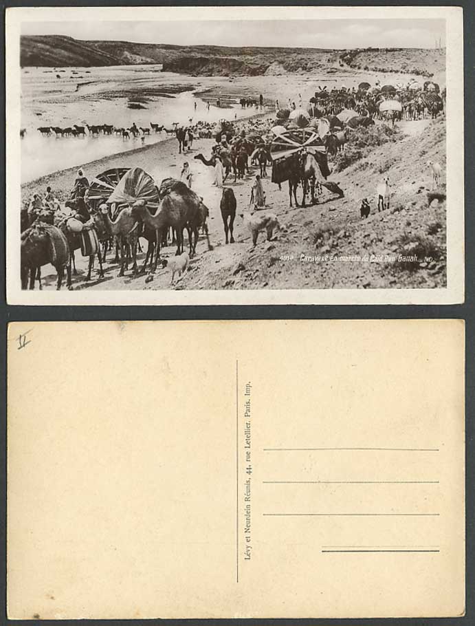 Algeria Caravane en marche Caid Ben Ganah Camels Caravan Sheep Dogs Old Postcard