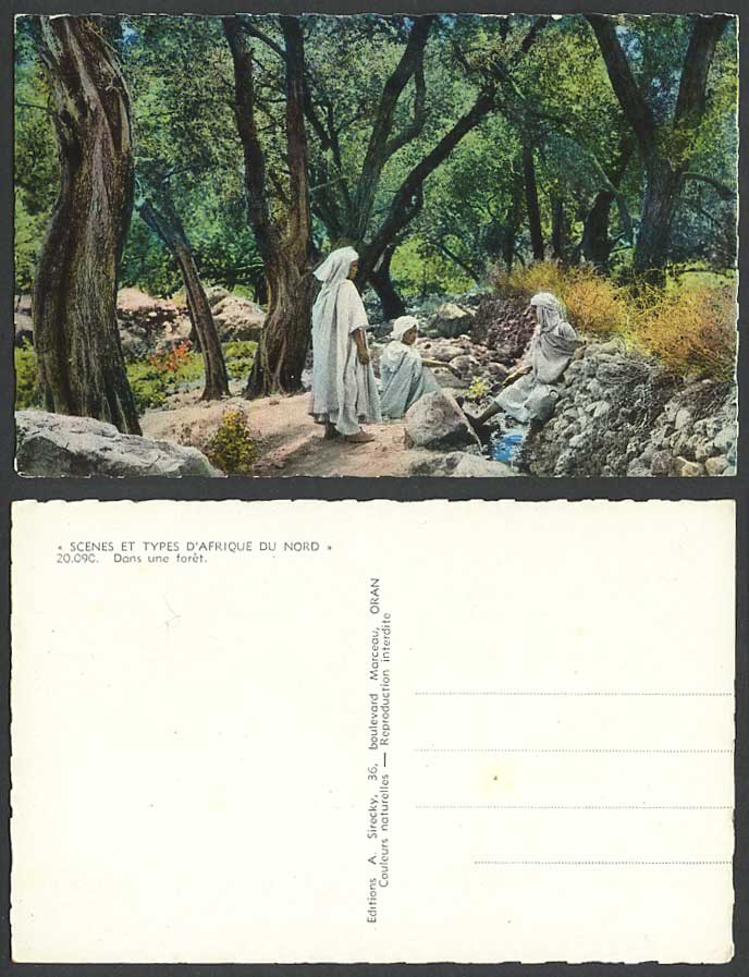 North Africa Old Colour Postcard Dans Une Foret Natives in a Forest Stream River