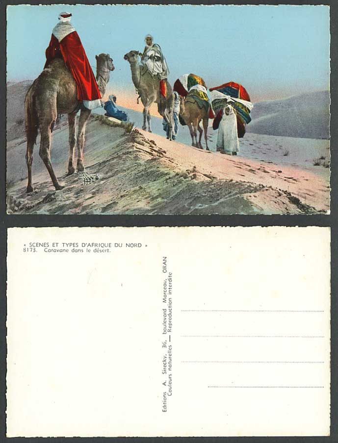 North Africa Old Colour Postcard Caravane dans le Desert, Camels & Camel Caravan